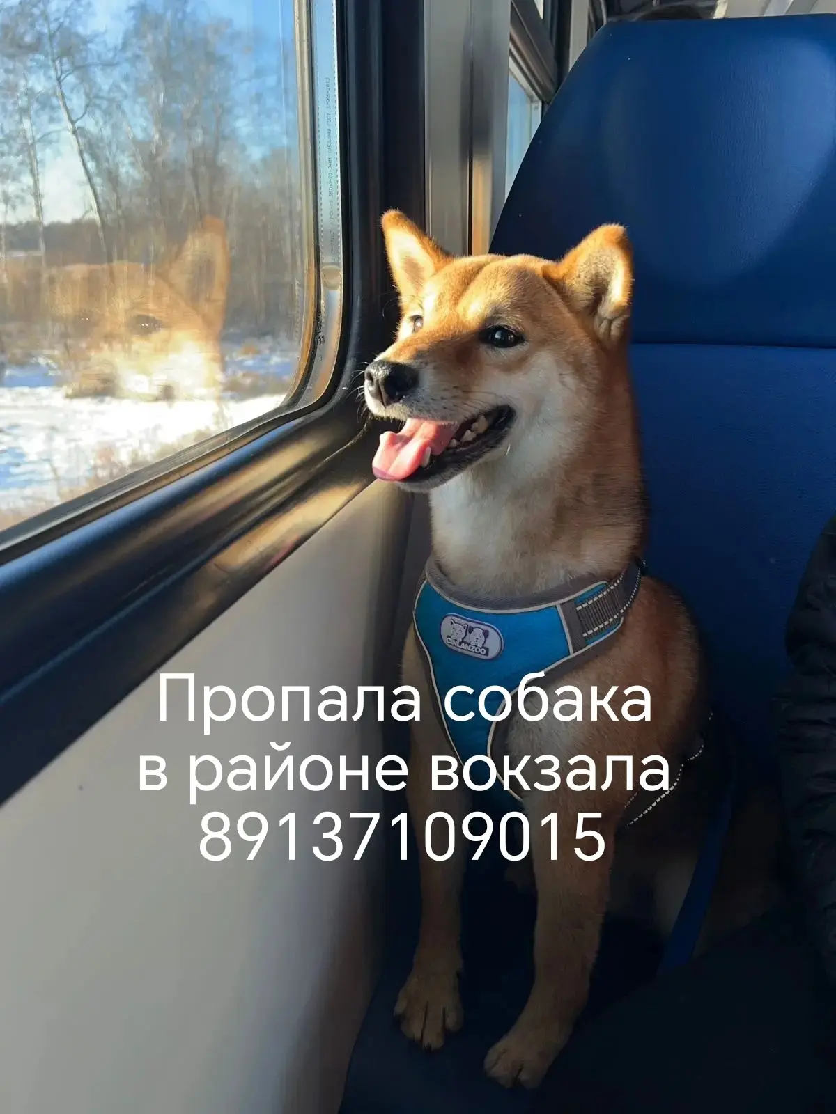 Источник: Открыть