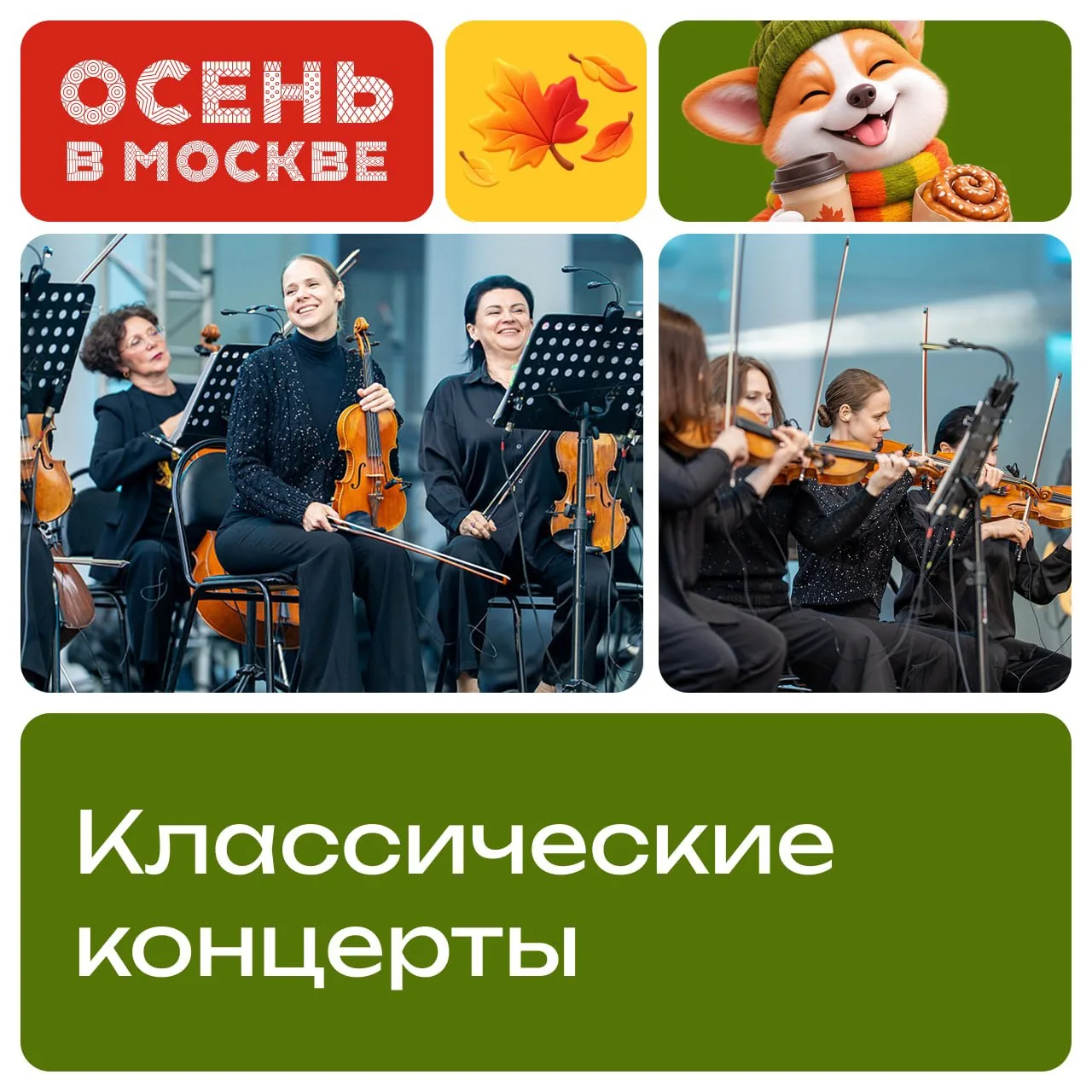 🎵 Свечи, живая музыка и историческая атмосфера — что может быть лучше?… — публикация канала «Осень в Москве»