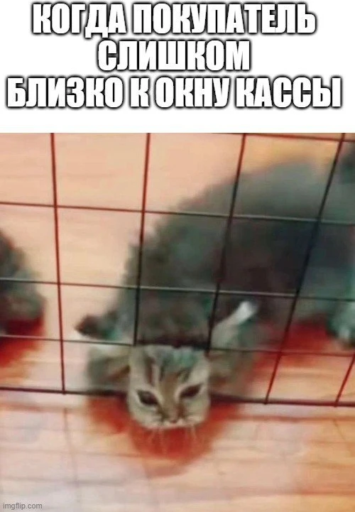 Успешный Фармацевт