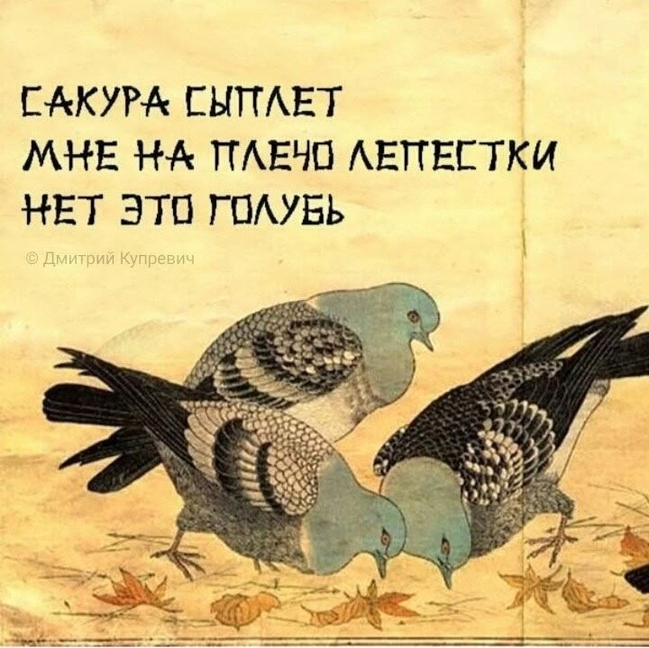 Всем с наидобрейшим утром! 🤗