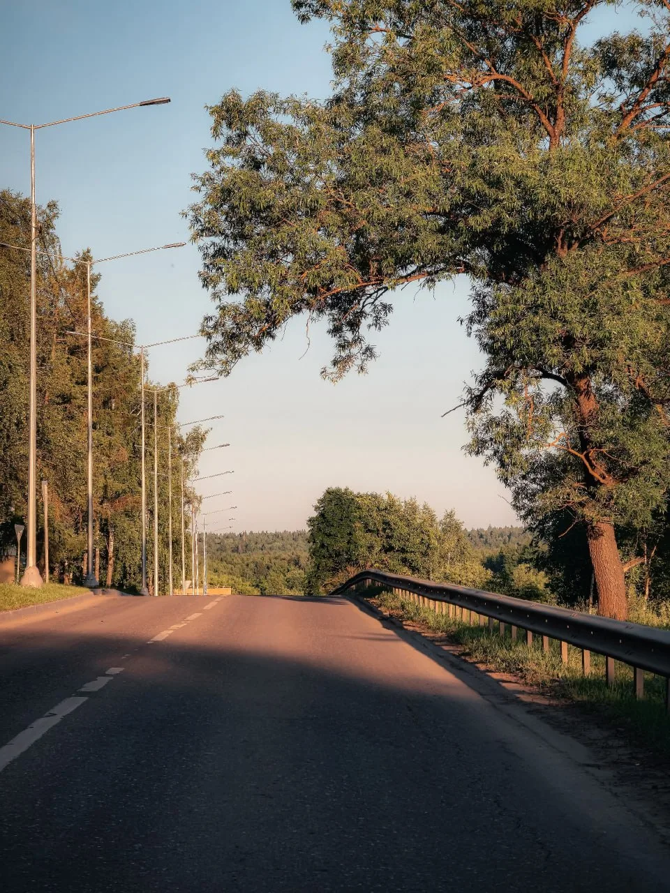 🌲Прекрасный лесопарк "Ёлочки" в Наро-Фоминске
