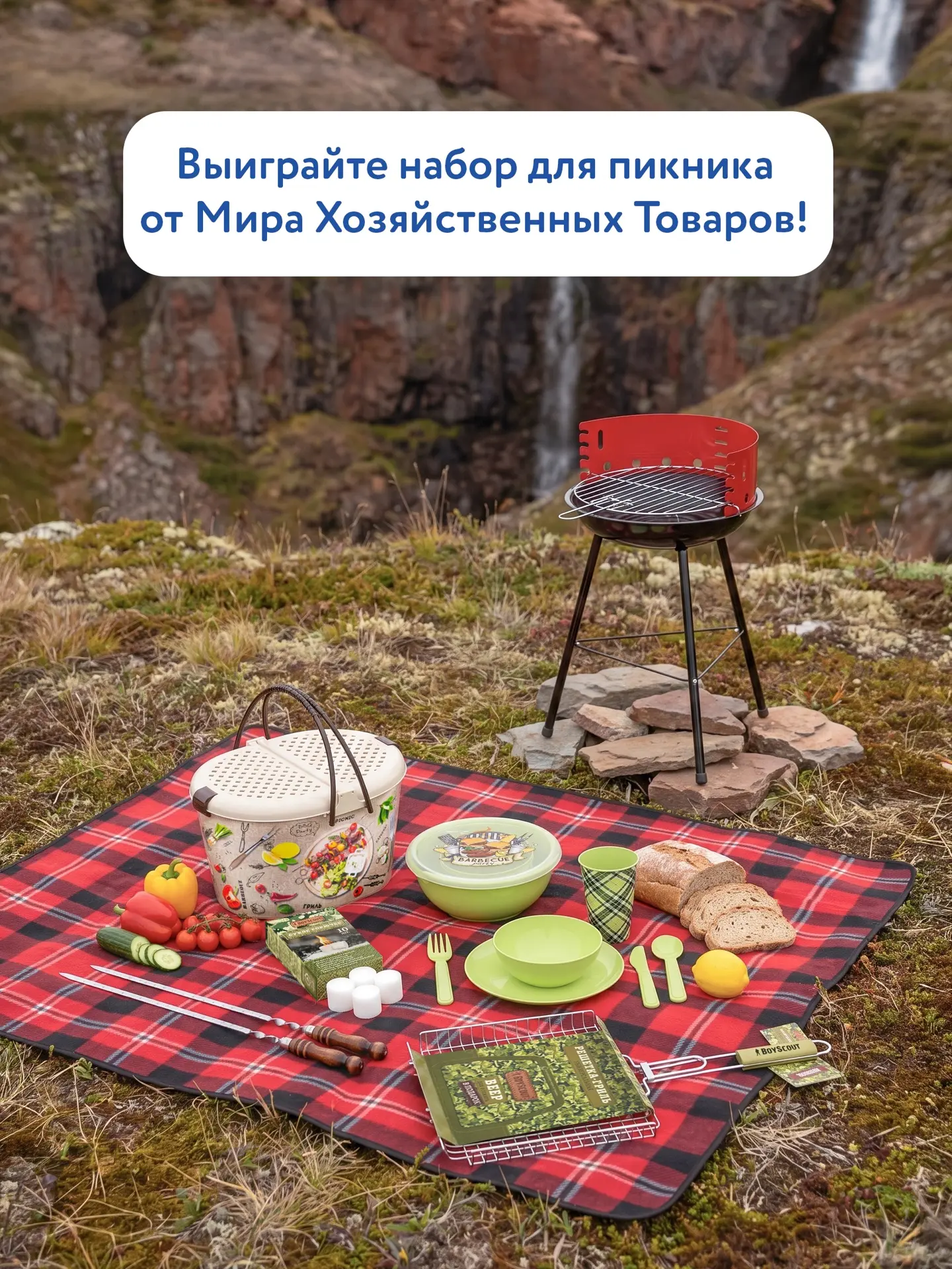 ☀️Лето создано для выездов на природу, уютных посиделок на даче и пикников с хорошим настроением. А 