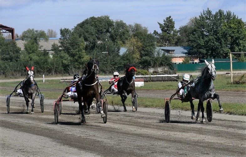 Алтайские конники удостоены золота по итогам Большого Сибирского круга – 2026 🐎