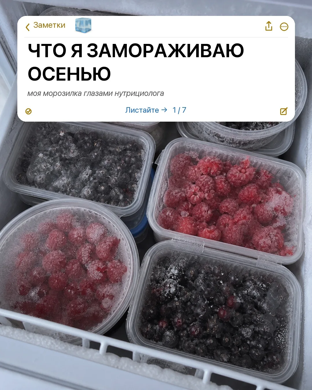 ЧТО Я ЗАМОРАЖИВАЮ ОСЕНЬЮ