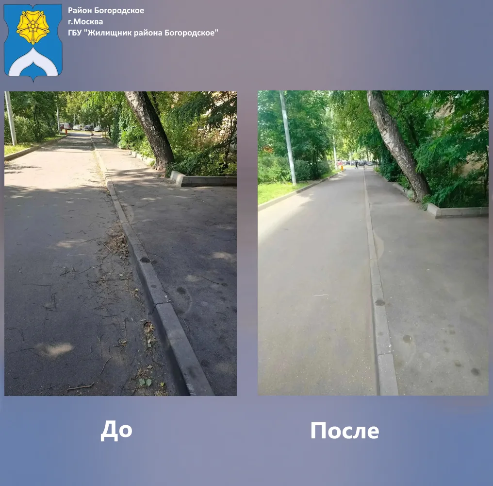 ГБУ «Жилищник района Богородское» проведена уборка дворовой территории по адресу :