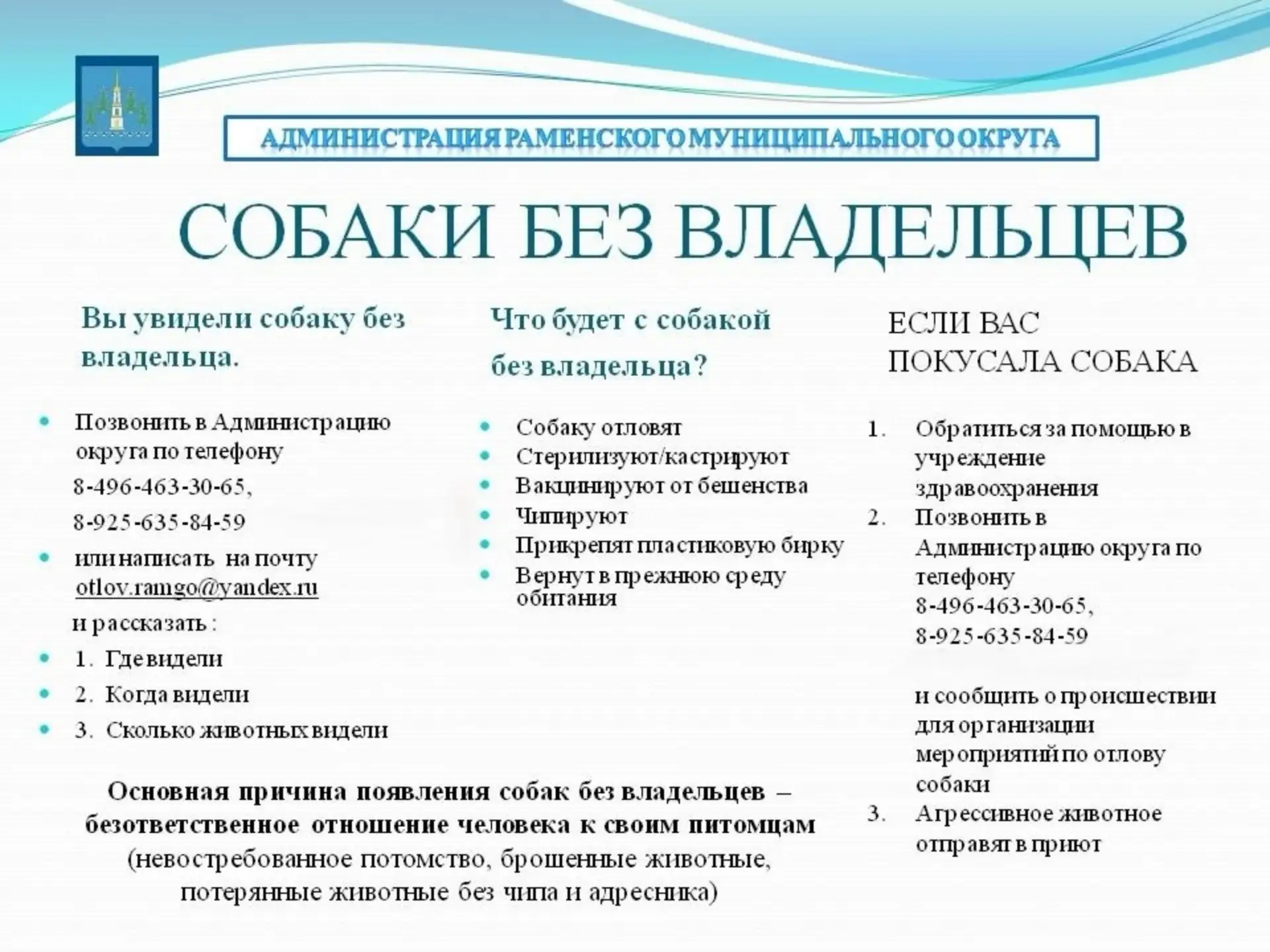 🐶 Внимание! Утвержден порядок действий при обнаружении безнадзорных собак! 

Если вы встретили безд