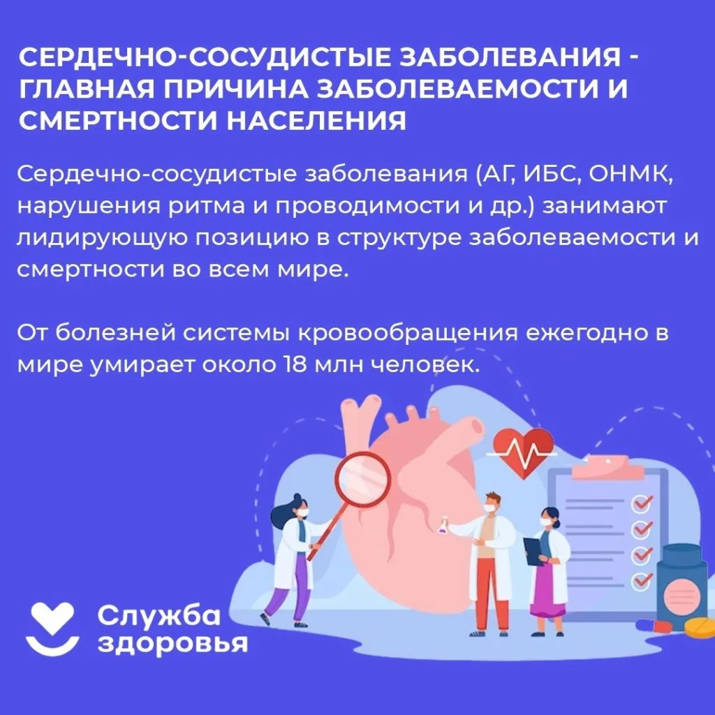 Неделя профилактики сердечно-сосудистых заболеваний проходит в России с 10 по 16 август...