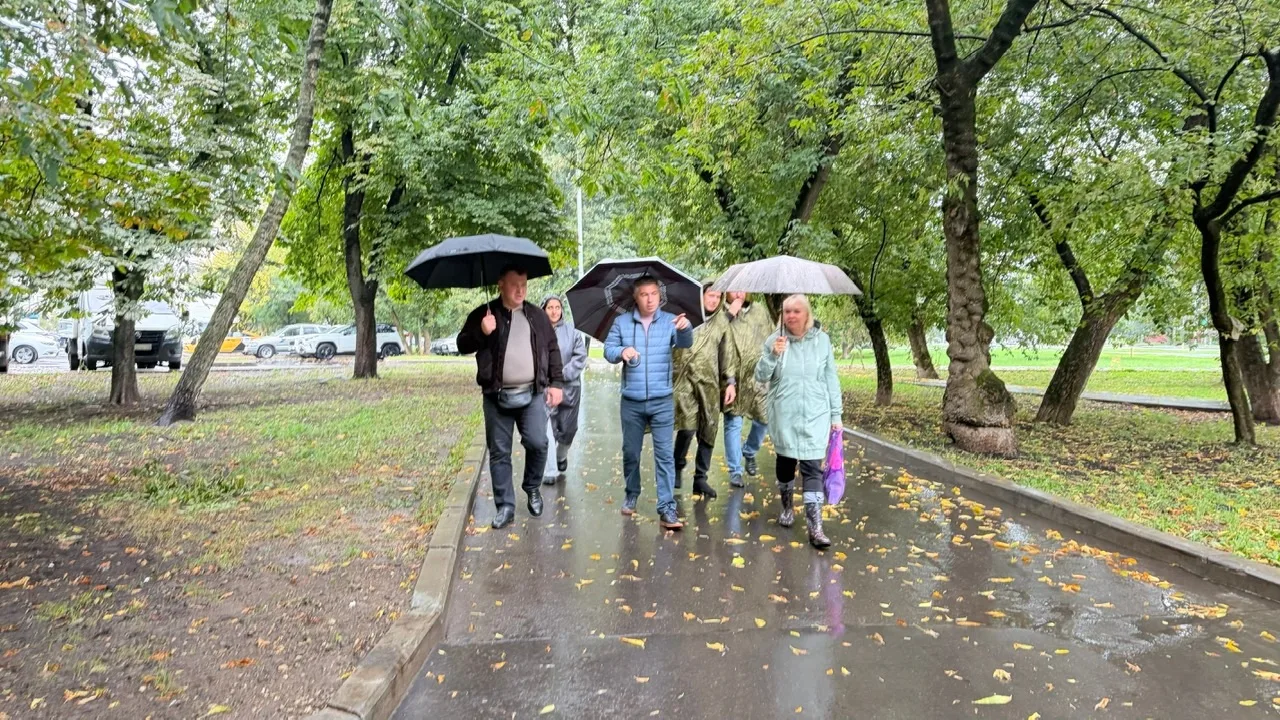 ☔️ 🌳Итоги обхода территории