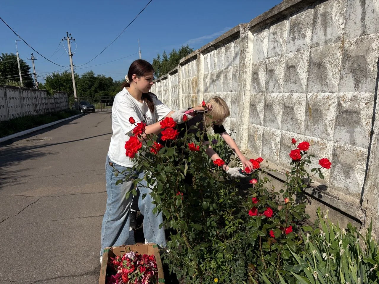 ☀️4‑й день лагеря труда и отдыха: насыщенно и познавательно!

🌱Сегодняшний день в лагере начался с 