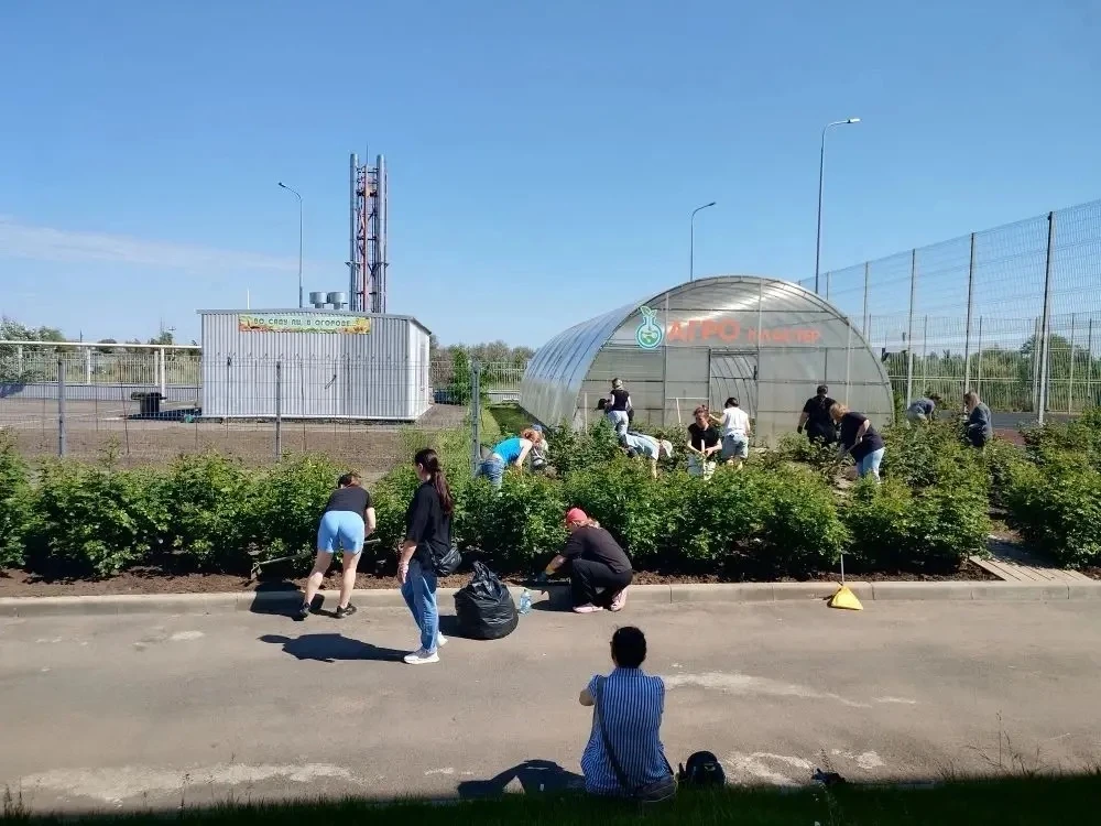 ✨Хорошо, когда дружно и все вместе!   Родители учеников начальной школы привели в порядок школьный р