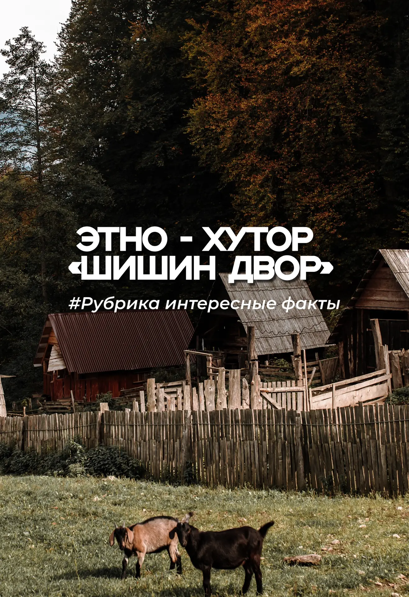 Рубрика интересных фактов о «Роза Хутор» 👇🏻