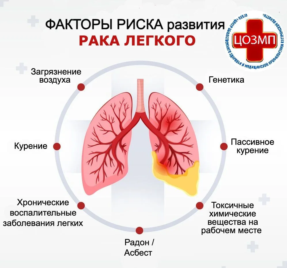 ‍🫁 В Костроме проходит Неделя сохранения здоровья легких