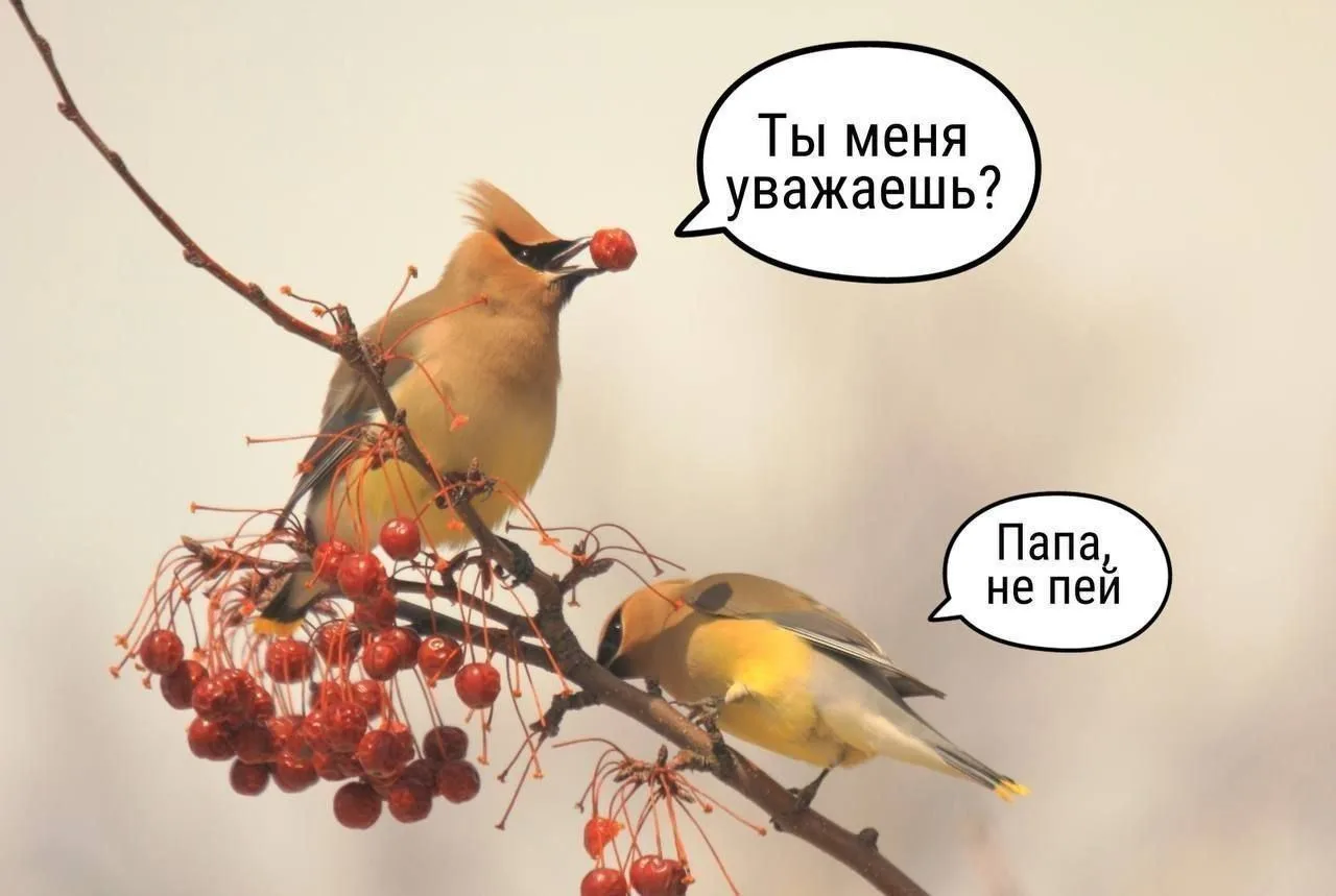 Ставь лайк! ❤️
