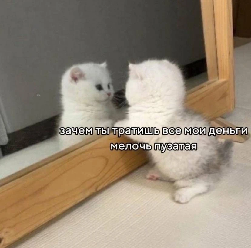🐱Буквально я, когда пришла зарплата

👉 Подпишись