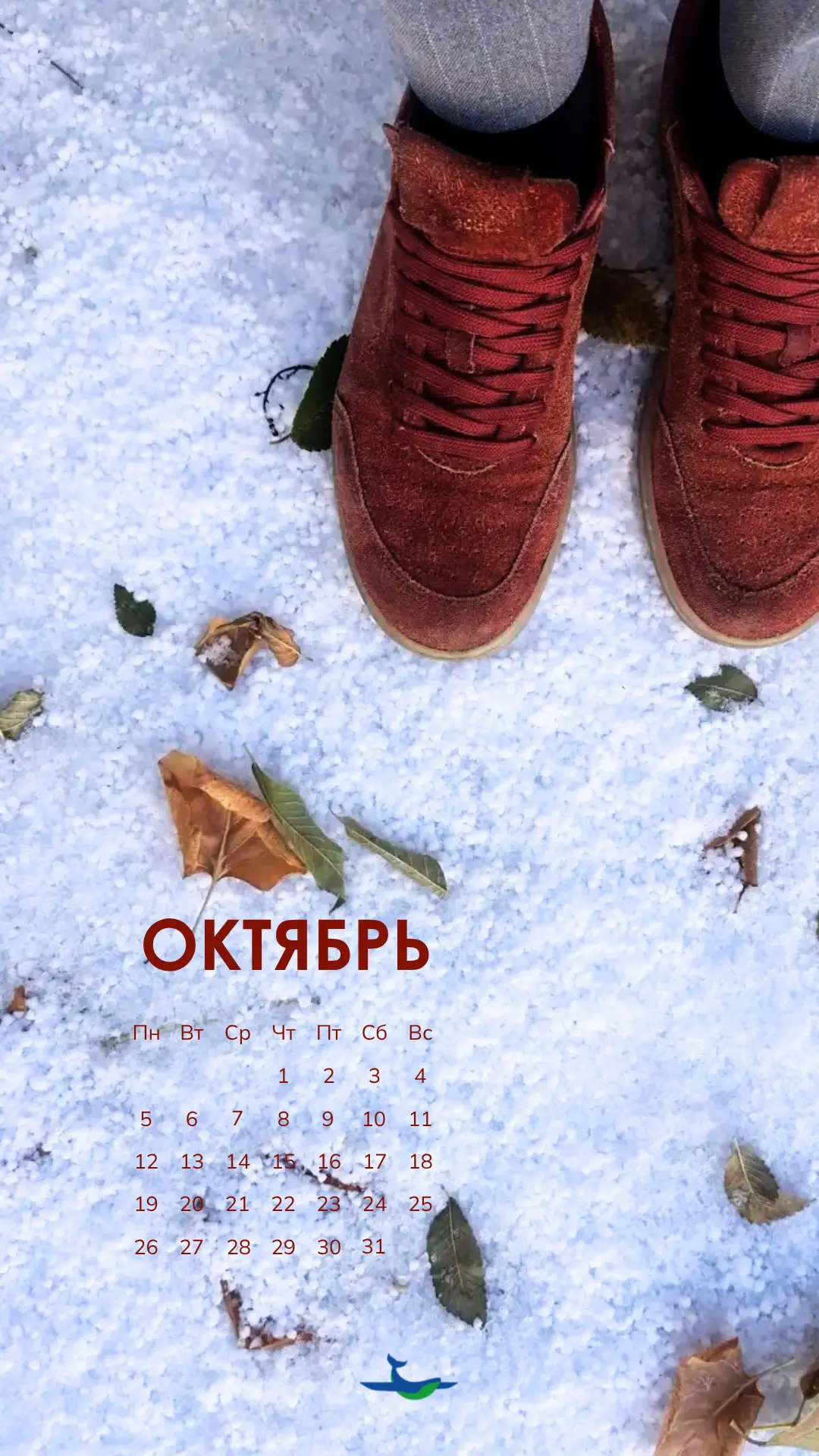 👀 А сейчас контент не для слабонервных!