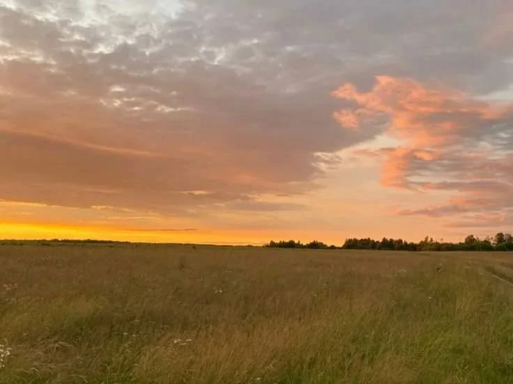 🍁 Доброе утро, друзья!