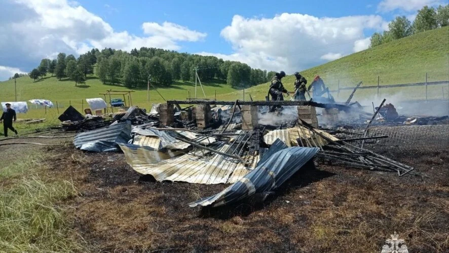 Трое детей сгорели заживо в частном доме — жуткое видео