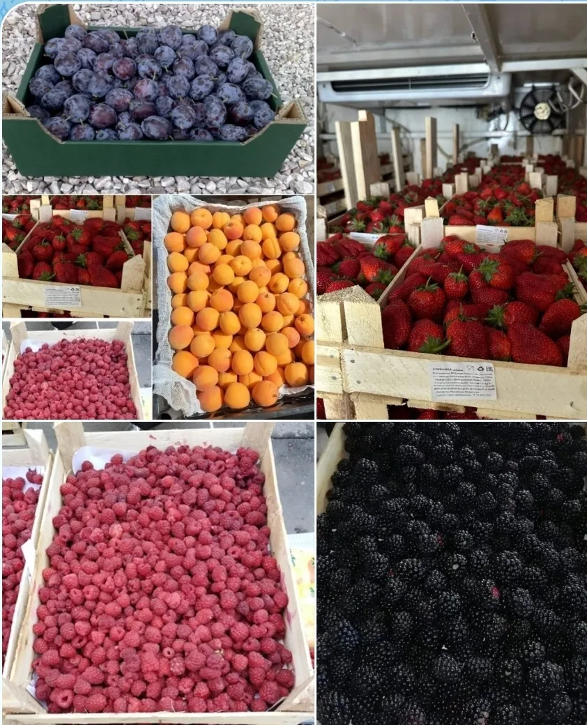 Завтра снова поступление ягоды🤤