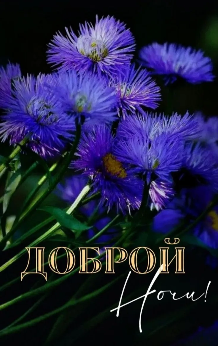💜💜💜