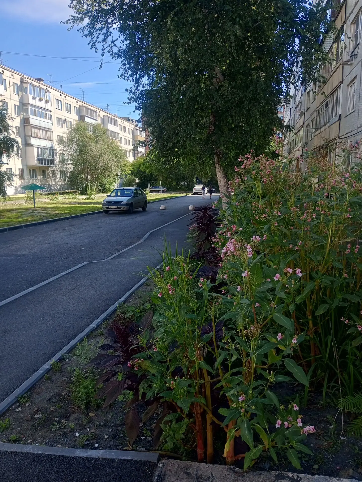 В этом году Администрация города Кургану провели капитальный ремонт асфальтового покрыт...