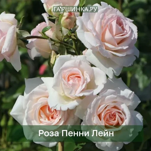 А ЧТО, ЕСЛИ ПЕРЕСТАТЬ ВЫБИРАТЬ?🤔…и наконец взять все, что так понравилось ?😃