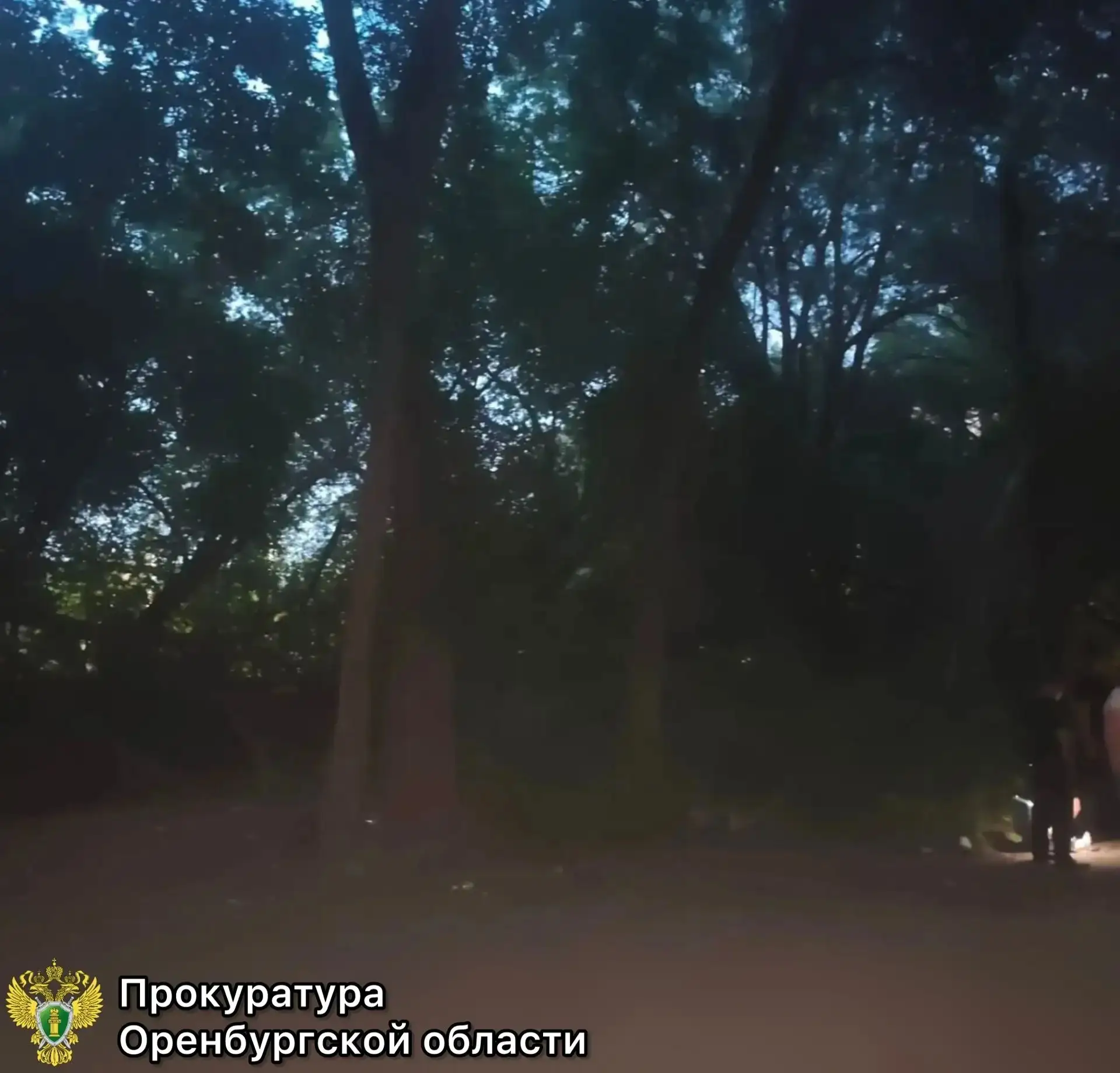 Изображение 1 к публикации «📌ОРСК-ОБЛАСТЬ-РОССИЯ-МИР📌»