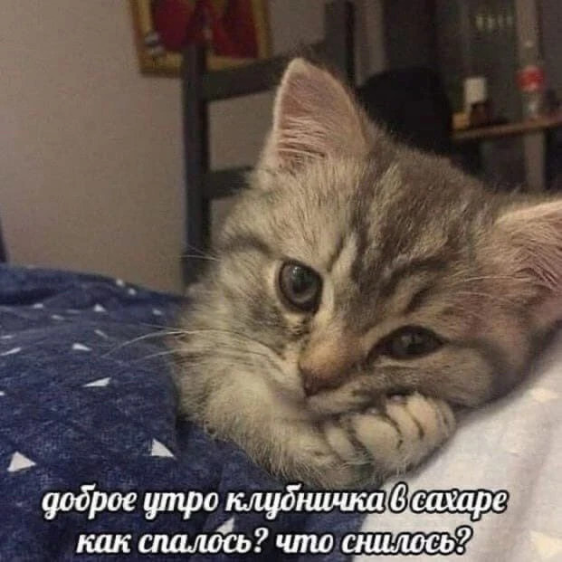 ПОВ: как с утра на тебя смотрят 50 уведомлений в рабочем чате

Подписаться на канал