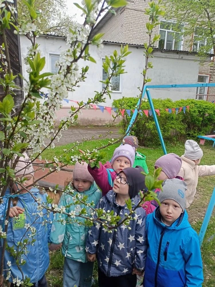 В средней группе прошло увлекательное наблюдение за одним из первых вестников весны — ц...