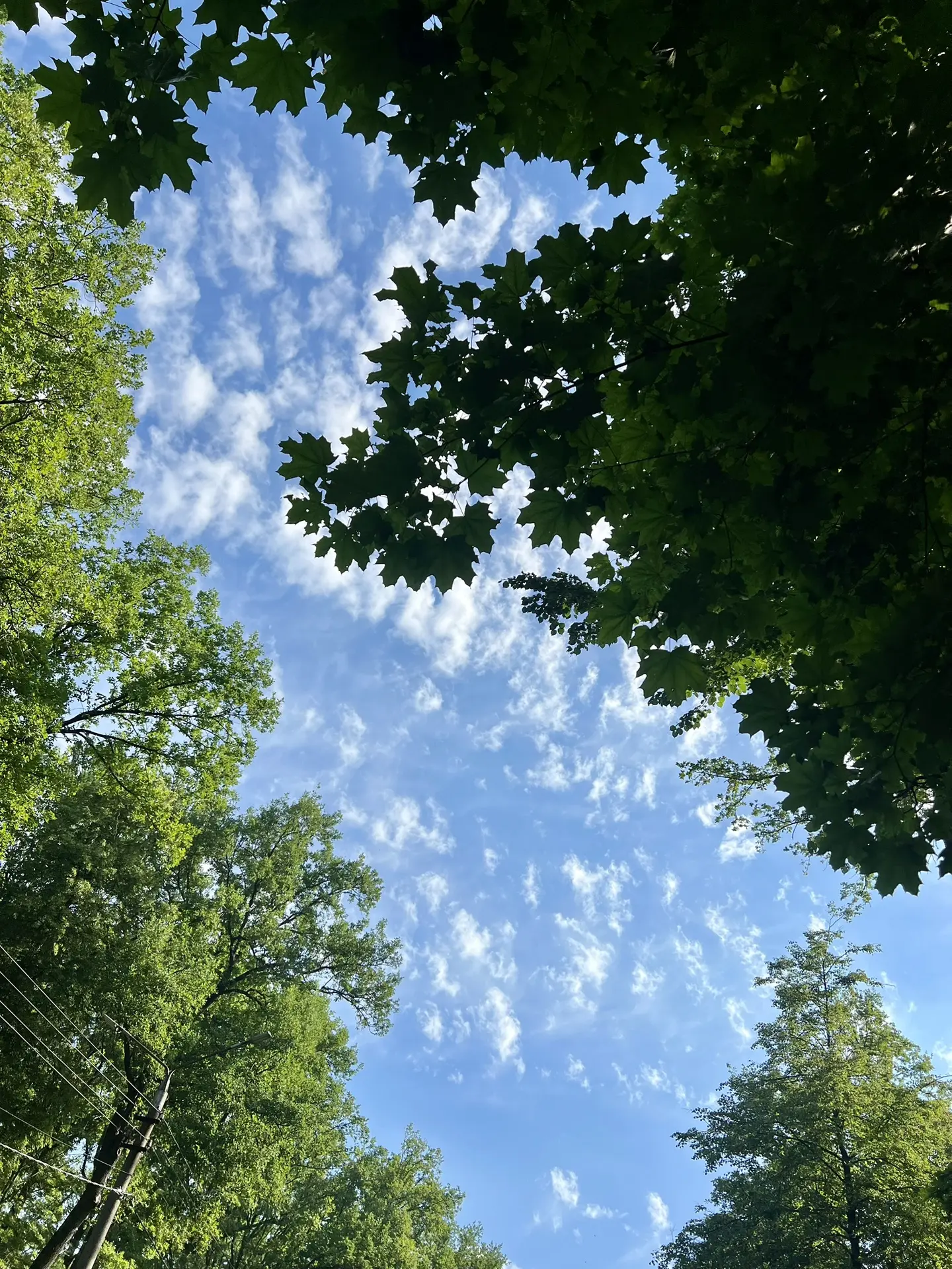 Самый лучший заряд энергии ❤️
