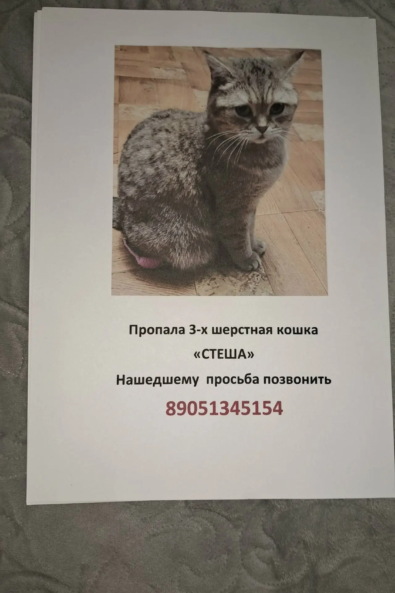 Ул Октябрьская,  район вокзала.

От подписчика