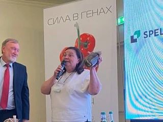 Гештальт закрутили в банки