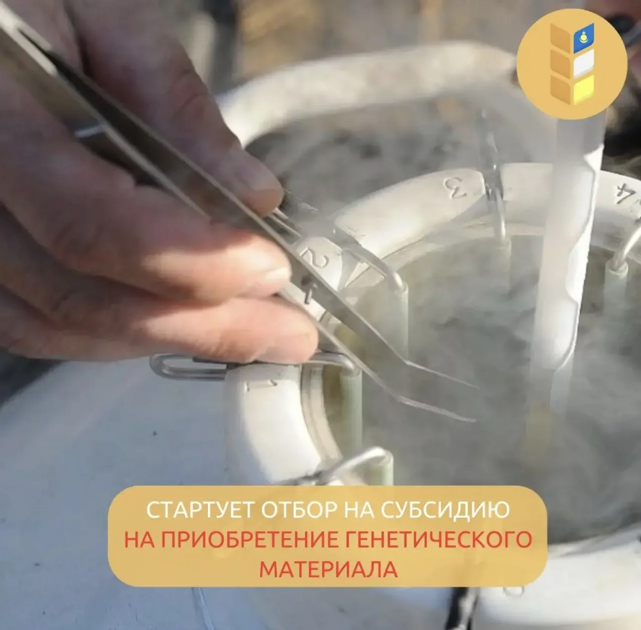 📢 ОБЪЯВЛЕНИЕ ОБ ОТБОРЕ НА ПОЛУЧЕНИЕ СУБСИДИИ
