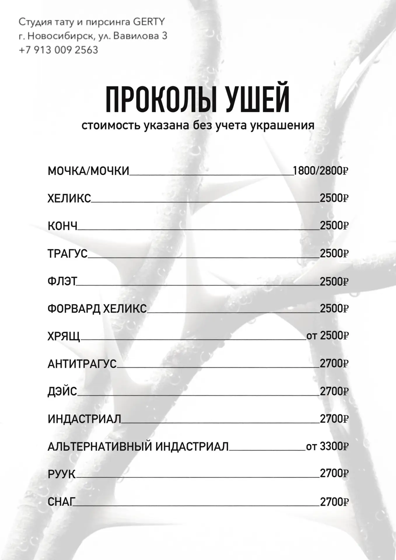 Медиа публикации