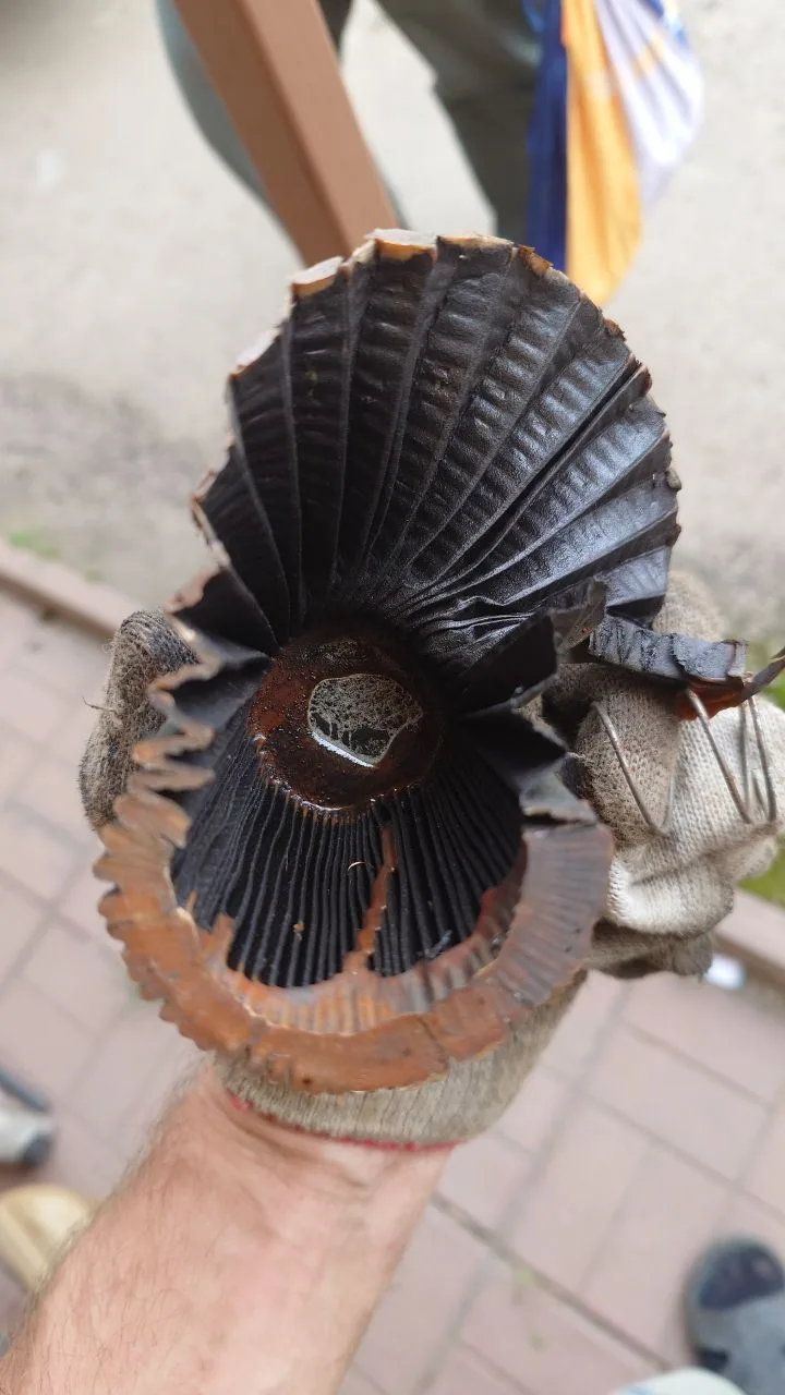 Фото