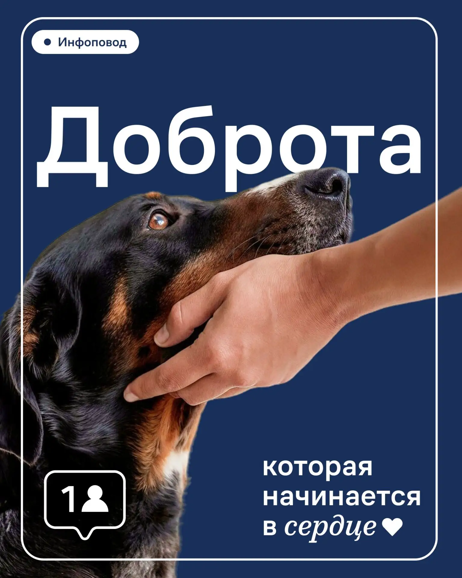 Дорогие жители🏠