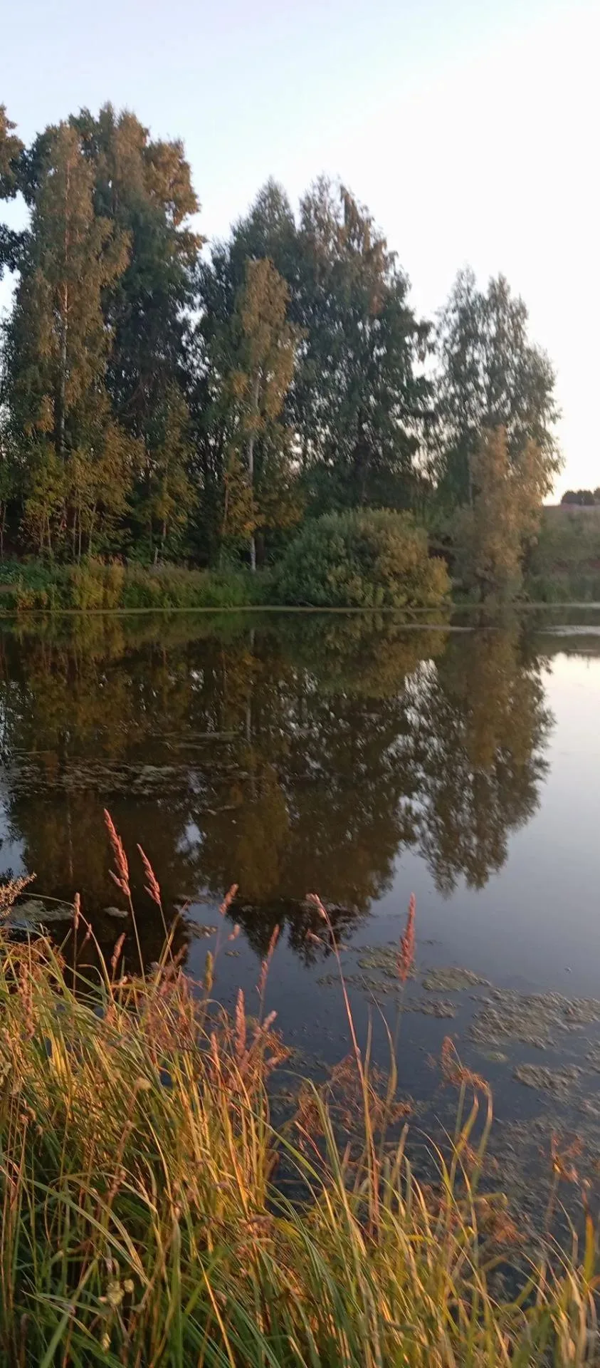 🐦‍⬛В рамках месячника по обеспечению биологической защиты объектов птицеводства "СТОП ...