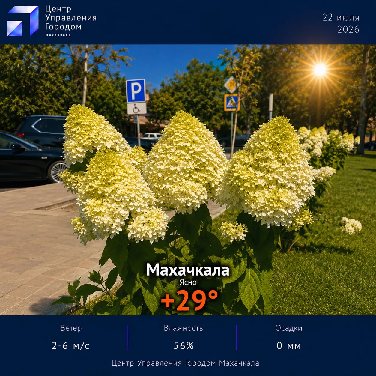 ☀️ Прогноз в столице