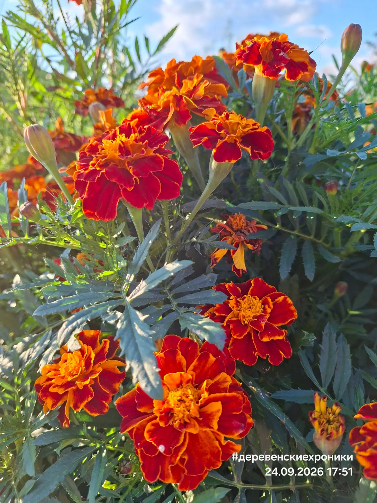 Редко у нас такой солнечный сентябрь 🌸