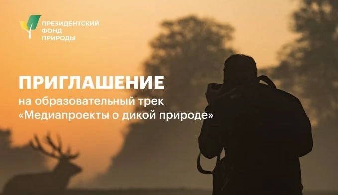 Ваш медиапроект может стать вкладом в сохранение дикой природы.