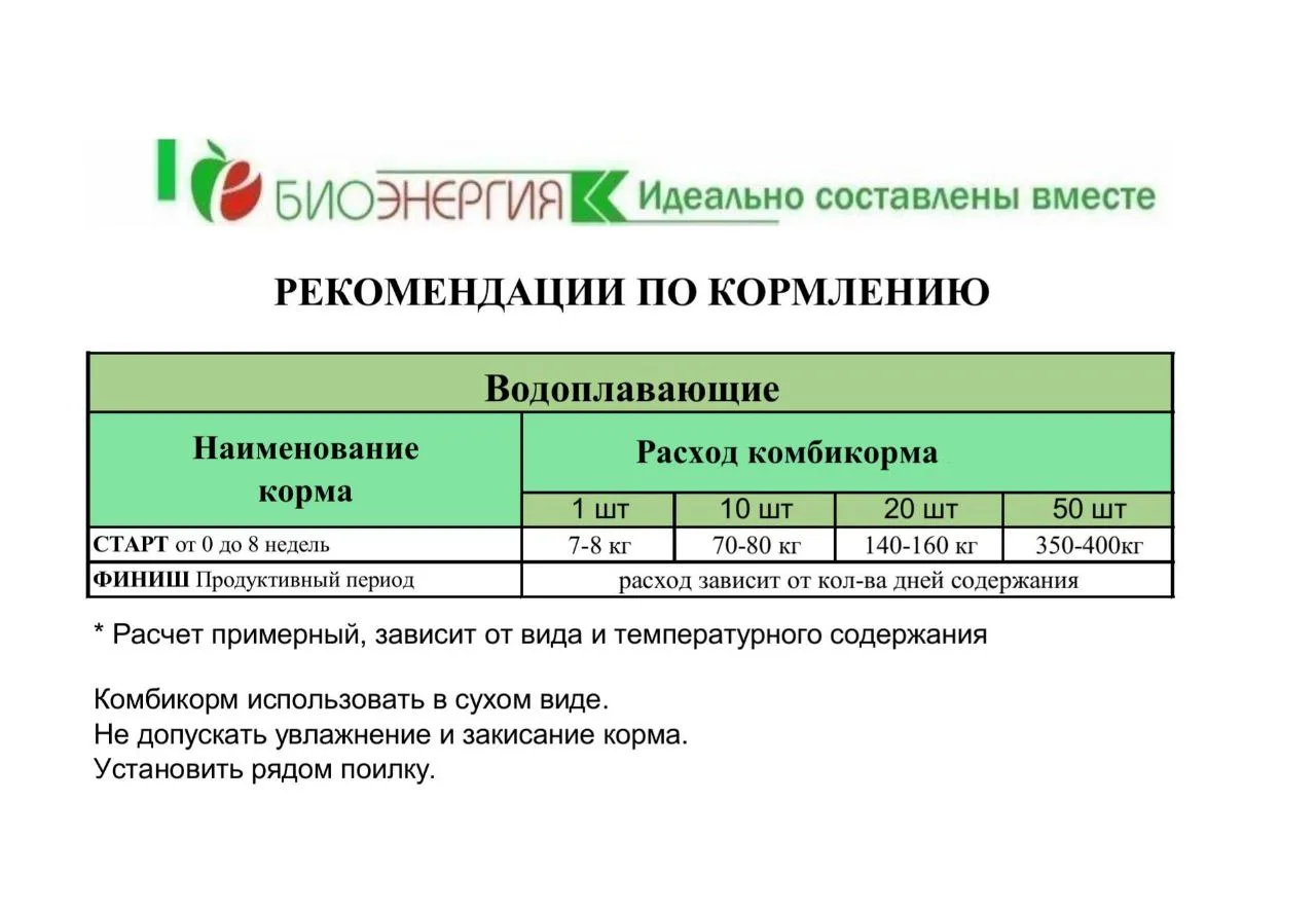 Рекомендации по кормлению утки.