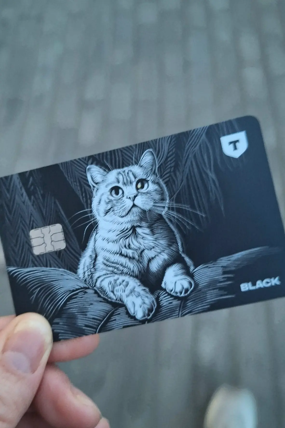👩‍💻 Татьяна Кулешова