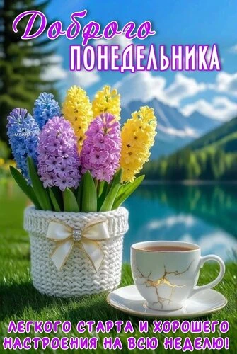 Доброе утро, дорогие жители! ☕🌧️