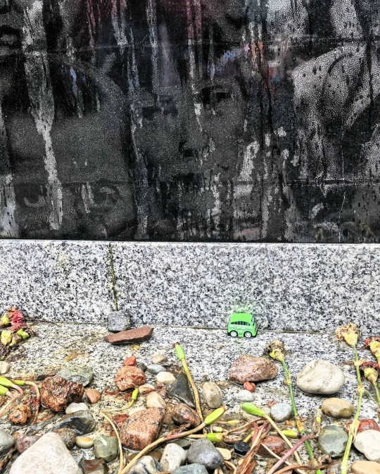 📌Сегодня воспитанники пришкольного лагеря "Туристята" посетили мемориал, посвященный Жертвам Холоко
