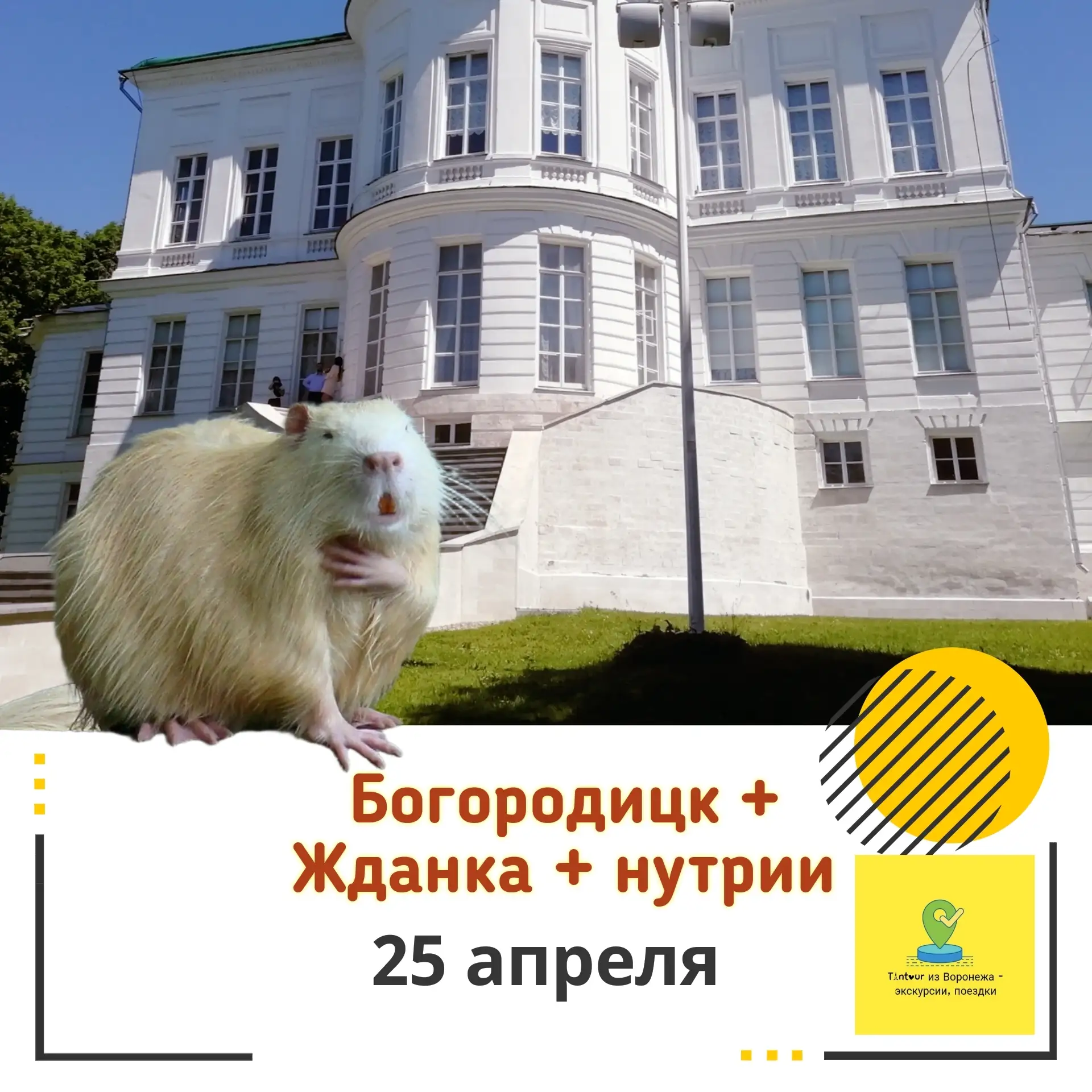 💥 Новинка! 💥
Нутриевая ферма | Богородицк | Станция Жданка 

Выезжаем 25 апреля, в субботу
🚌 В 6: