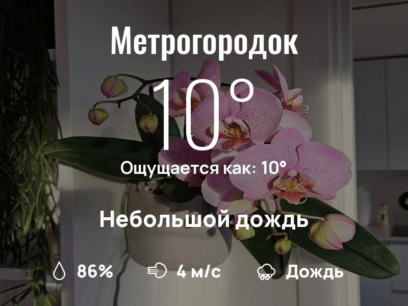 Что с погодой в Метрогородке?