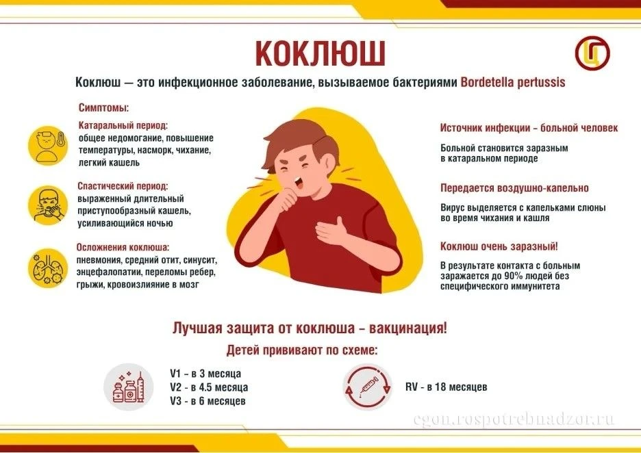 🦠 Коклюш - это инфекционное заболевание дыхательных путей, вызываемое бактериями Borde...