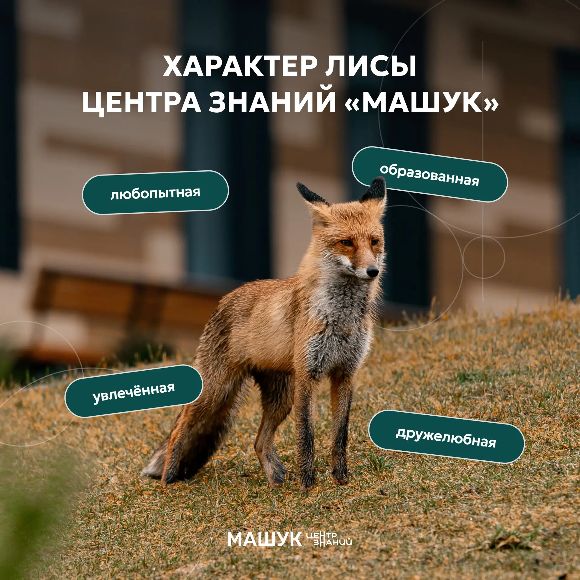 Продолжаем собирать образ хранительницы Центра знаний «Машук» 🦊

В преддверии дня рождения Центра з