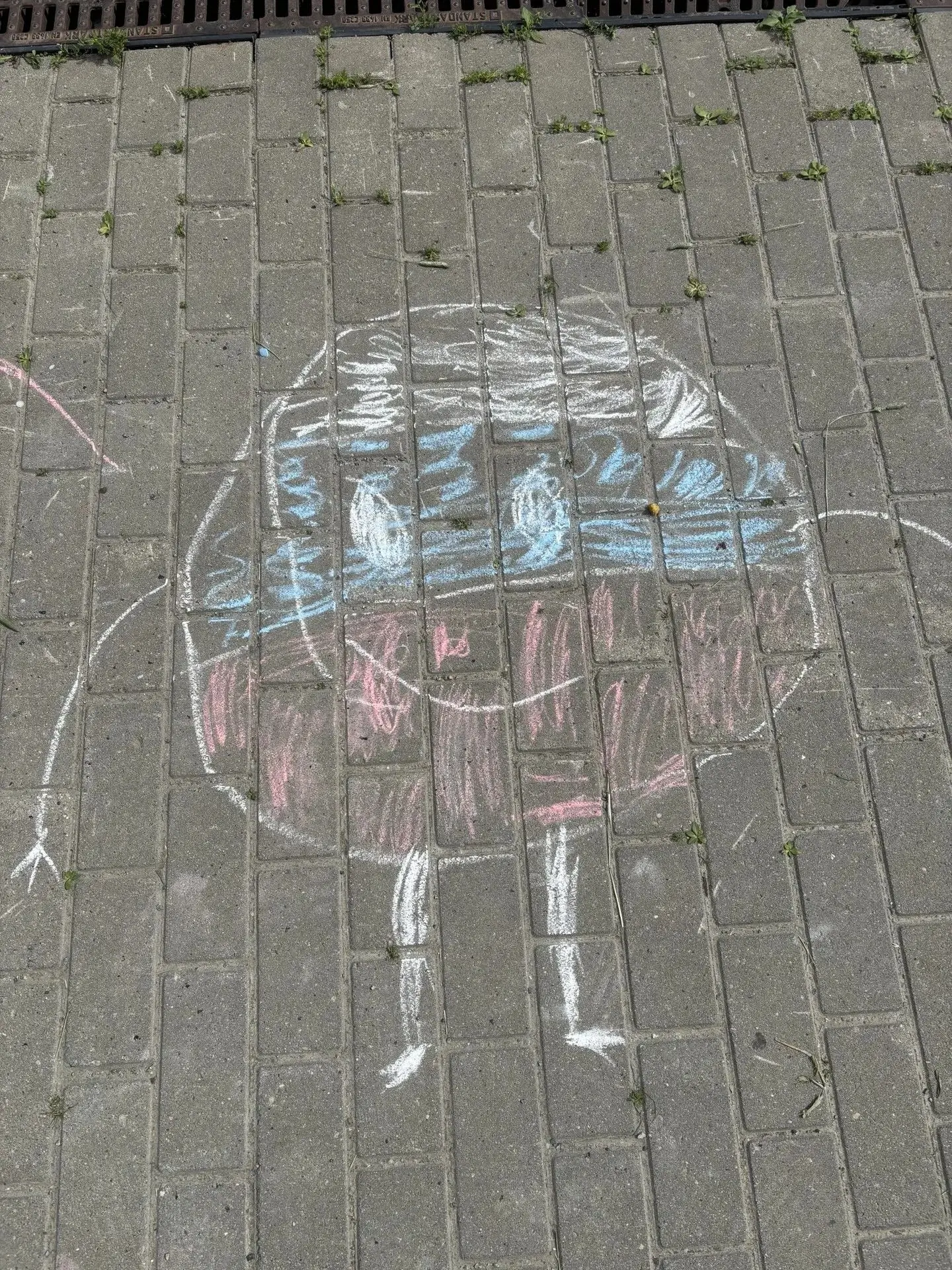🎨 Детство — это когда важнее всего на свете — цветные мелки и целый мир на асфальте.
Сегодня в наше