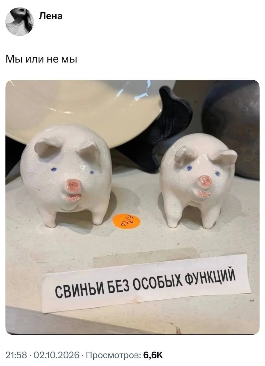 😂Маркетинг и продажи застройщика на утреннем совещании в понедельник, после наступлени...