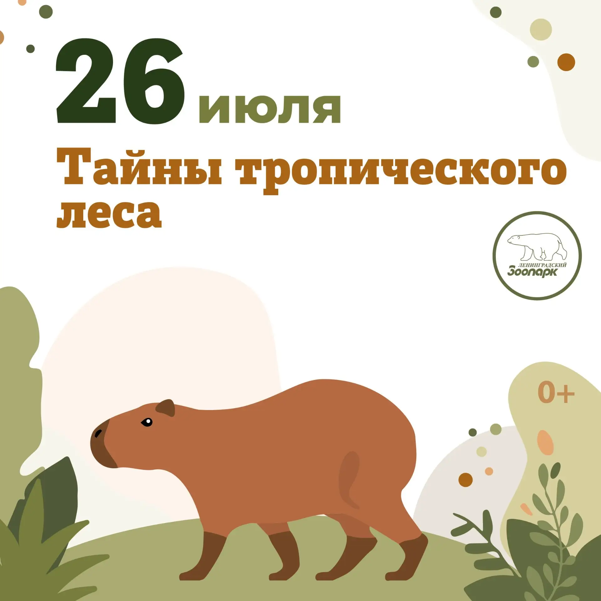 26 июля – Тематический день «Тайны тропического леса»🌳

🐾Тропический лес Южной Америки – самая неи
